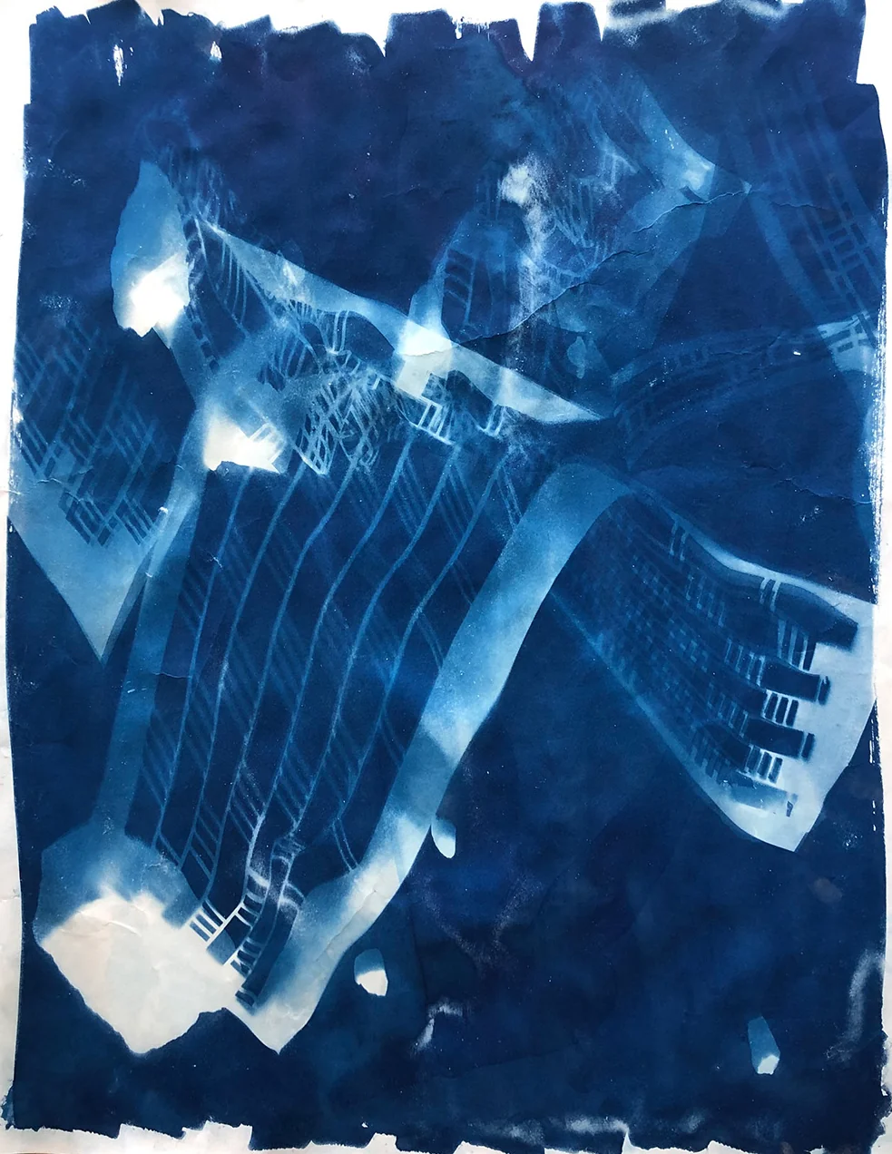 Cyanotype : trame graphique 2
